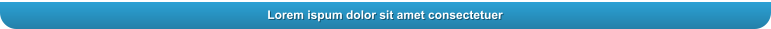 Lorem ispum dolor sit amet consectetuer